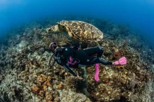 Making Scuba Diving a Natural Part of a Luxury Travel Itinerary